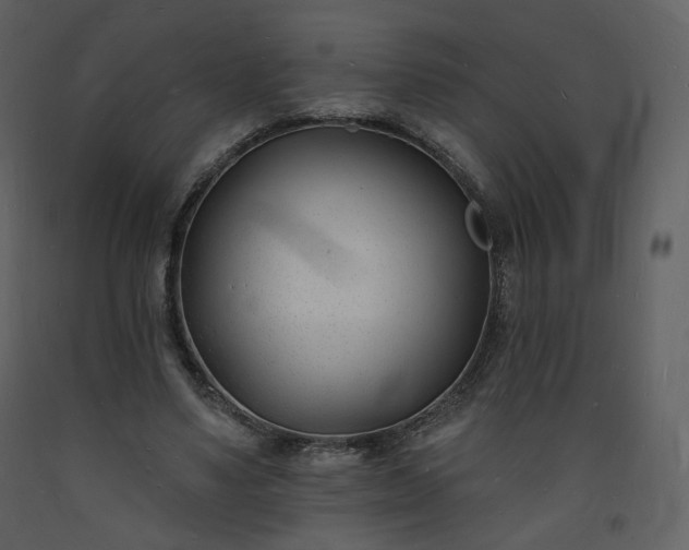 X0000093600491200710221550