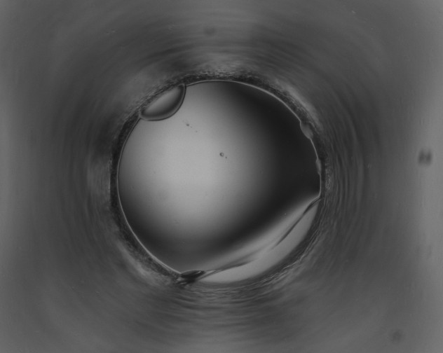 X0000093600493200710221550