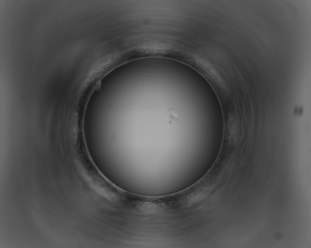 X0000093600494200710221550