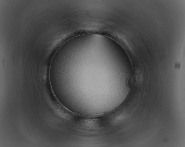 X0000093600495200710221550