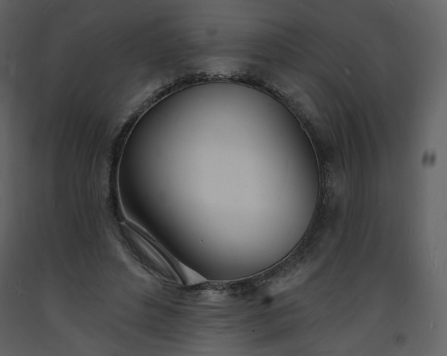 X0000093600496200710221550