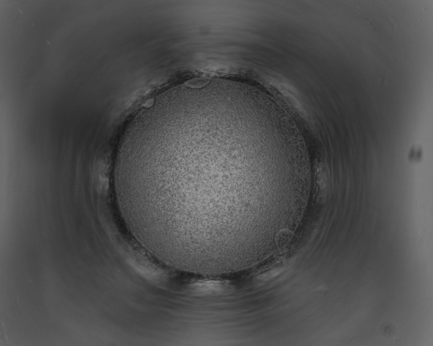 X0000093600499200710221550