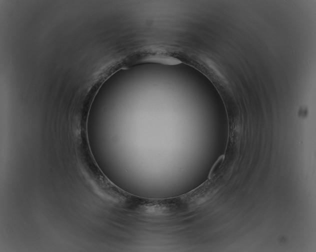 X0000093600500200710221550