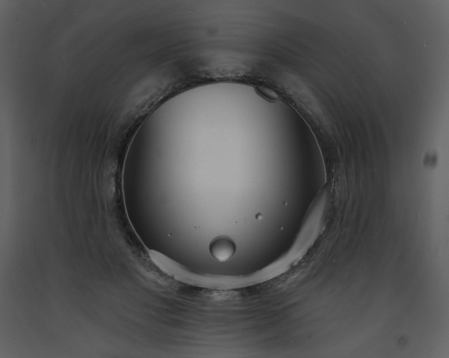 X0000093600501200710221550