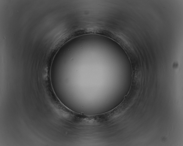 X0000093600502200710221550