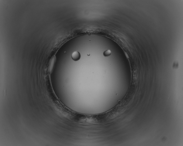 X0000093600503200710221550