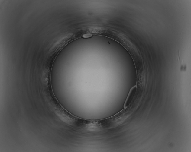 X0000093600505200710221550