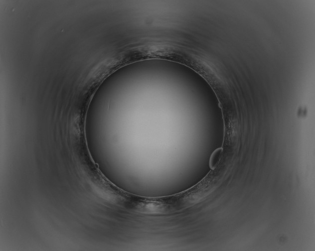 X0000093600506200710221550