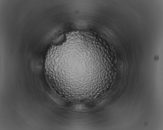 X0000093600507200710221550