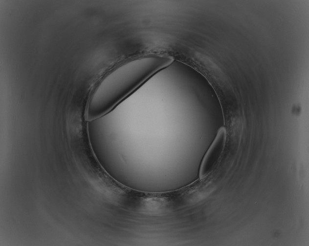 X0000093600508200710221550