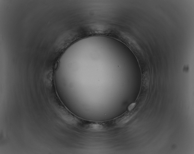 X0000093600509200710221550