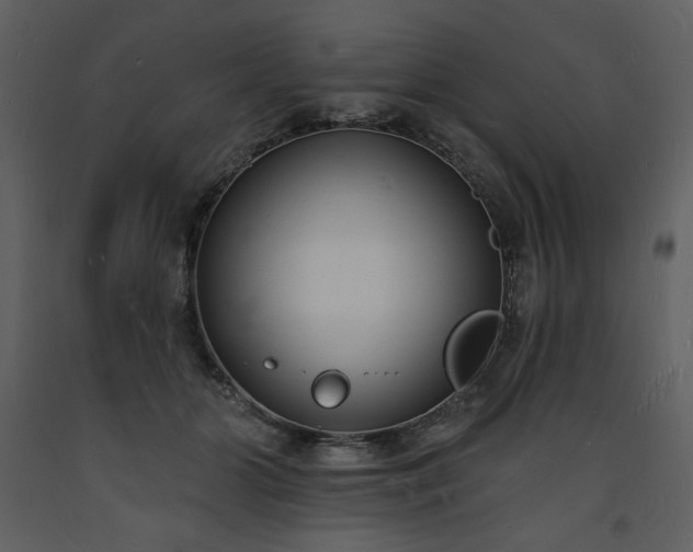 X0000093600510200710221550