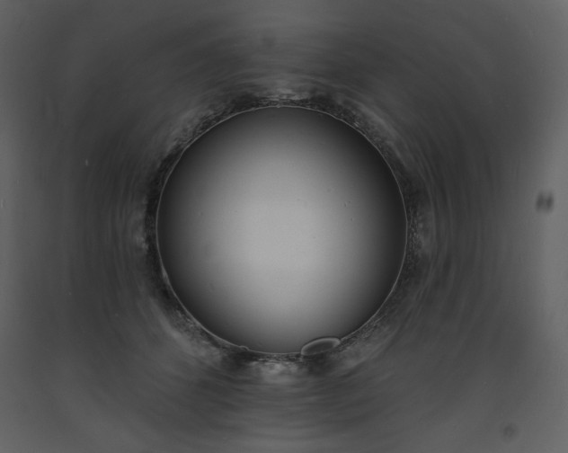 X0000093600512200710221550