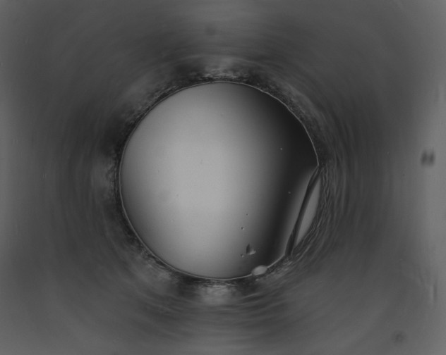 X0000093600513200710221550