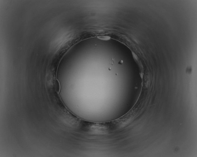 X0000093600515200710221550