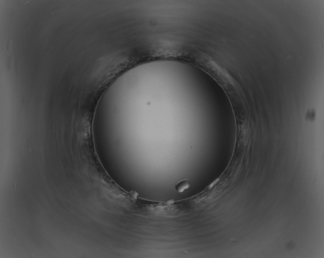 X0000093600517200710221550