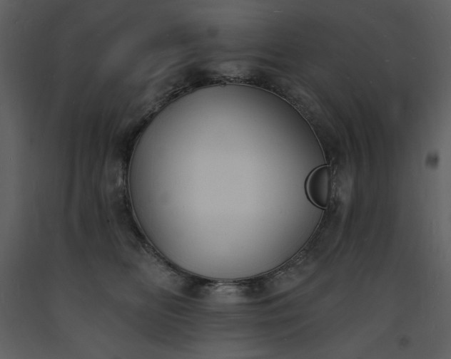 X0000093600518200710221550