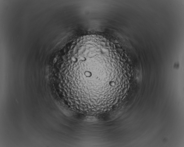 X0000093600519200710221550