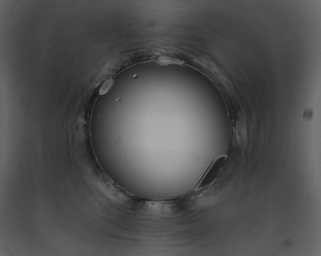 X0000093600520200710221550