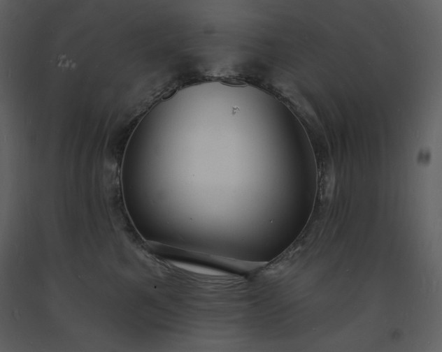 X0000093600521200710221550