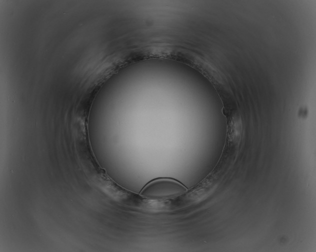 X0000093600522200710221550