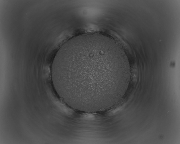 X0000093600523200710221550