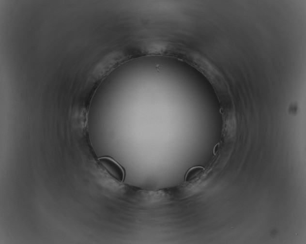 X0000093600525200710221550