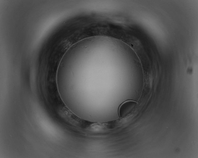 X0000093600526200710221550