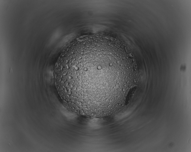 X0000093600527200710221550