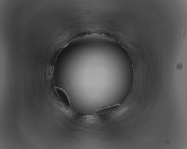 X0000093600528200710221550