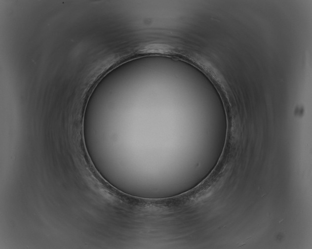 X0000093600529200710221549