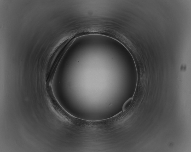 X0000093600530200710221549