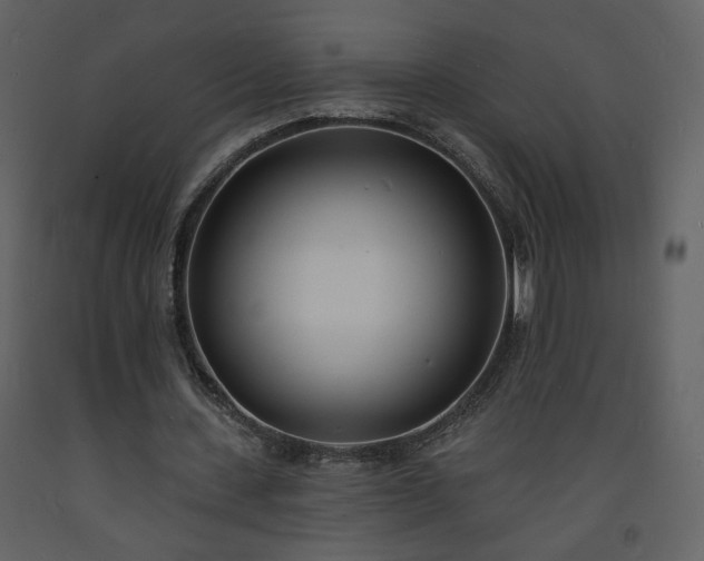 X0000093600531200710221549