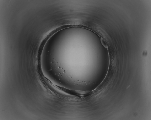 X0000093600532200710221549