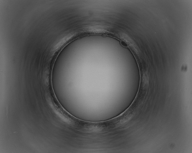 X0000093600533200710221549