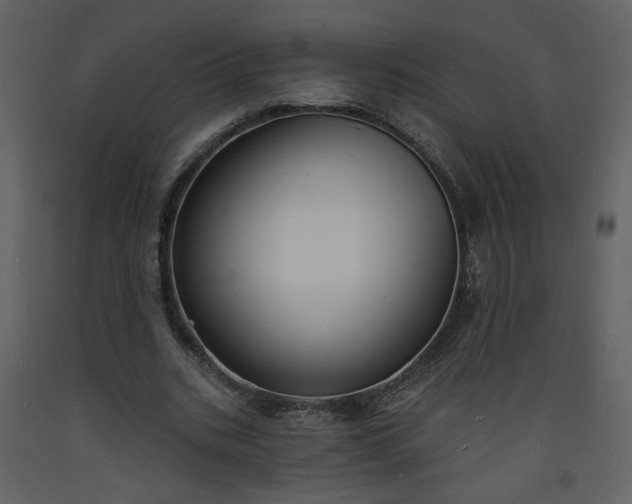 X0000093600535200710221549