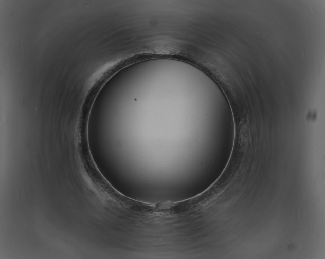 X0000093600536200710221549