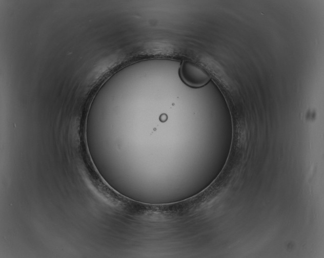 X0000093600538200710221549