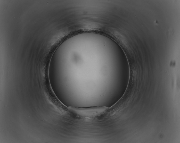 X0000093600539200710221549