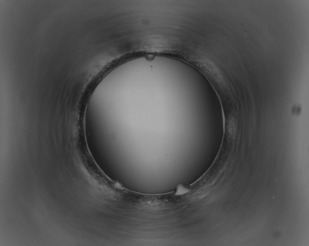 X0000093600540200710221549