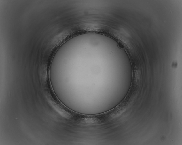 X0000093600541200710221549