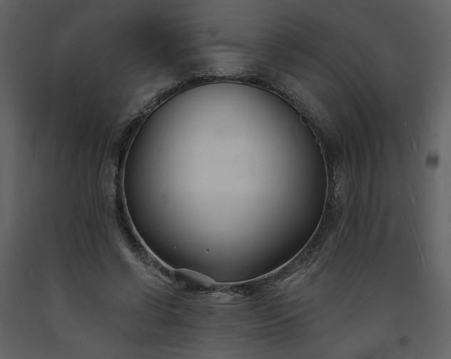 X0000093600542200710221549