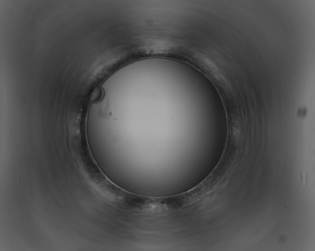 X0000093600543200710221549