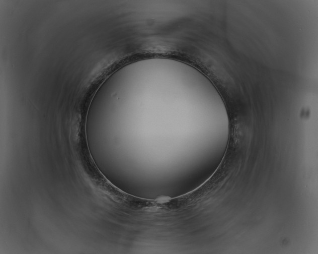 X0000093600544200710221549