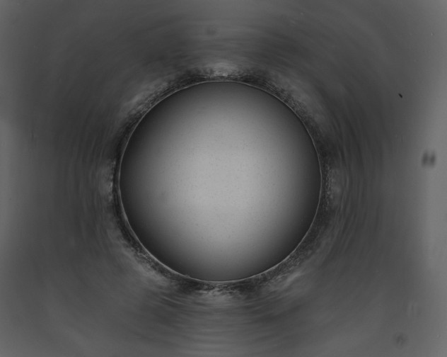 X0000093600545200710221549