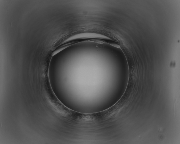 X0000093600546200710221549