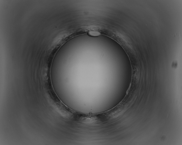 X0000093600548200710221549