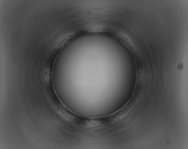 X0000093600549200710221549