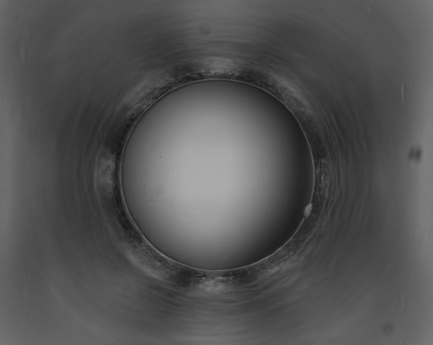 X0000093600550200710221549