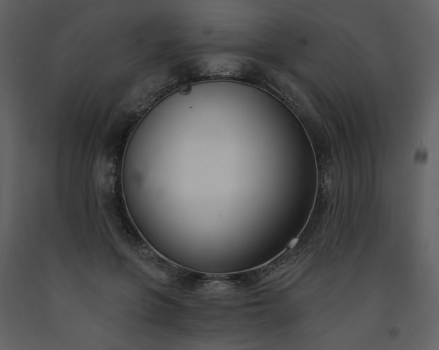 X0000093600551200710221549